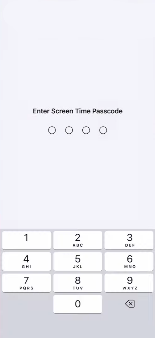 Password Screen